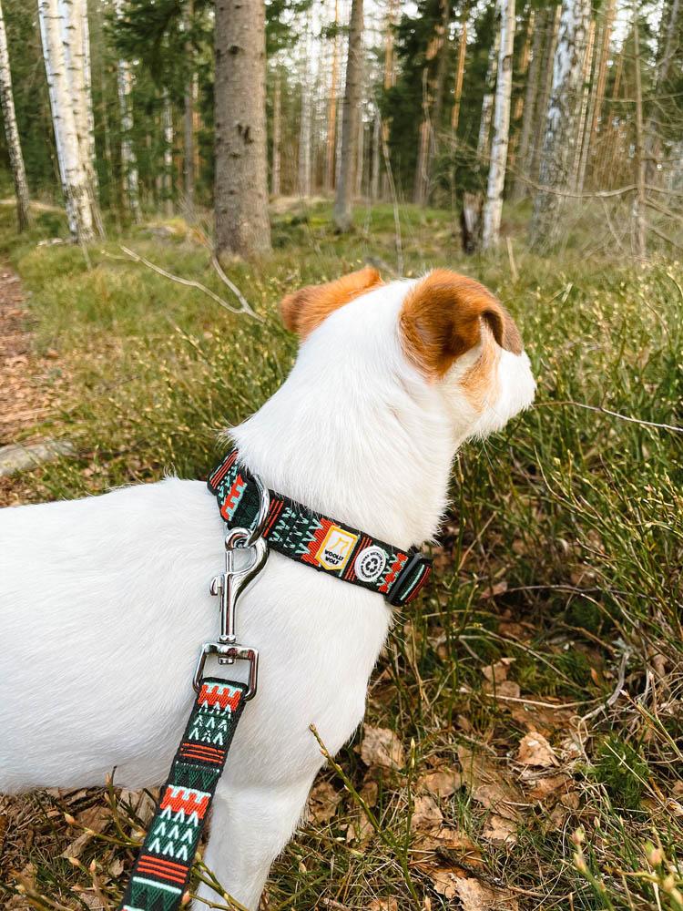 woodlandsetleascollar_1800x1800