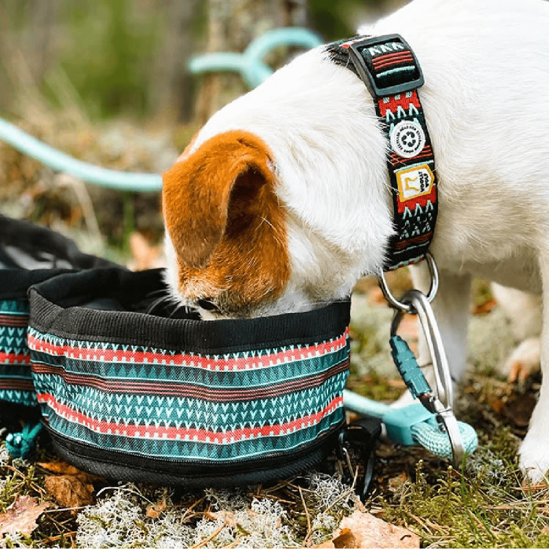 woolly-wolf-products-dog-woodland (1)