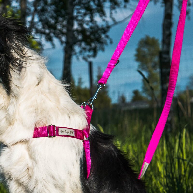 amiplay-harness-samaraki-samba-lifestyle