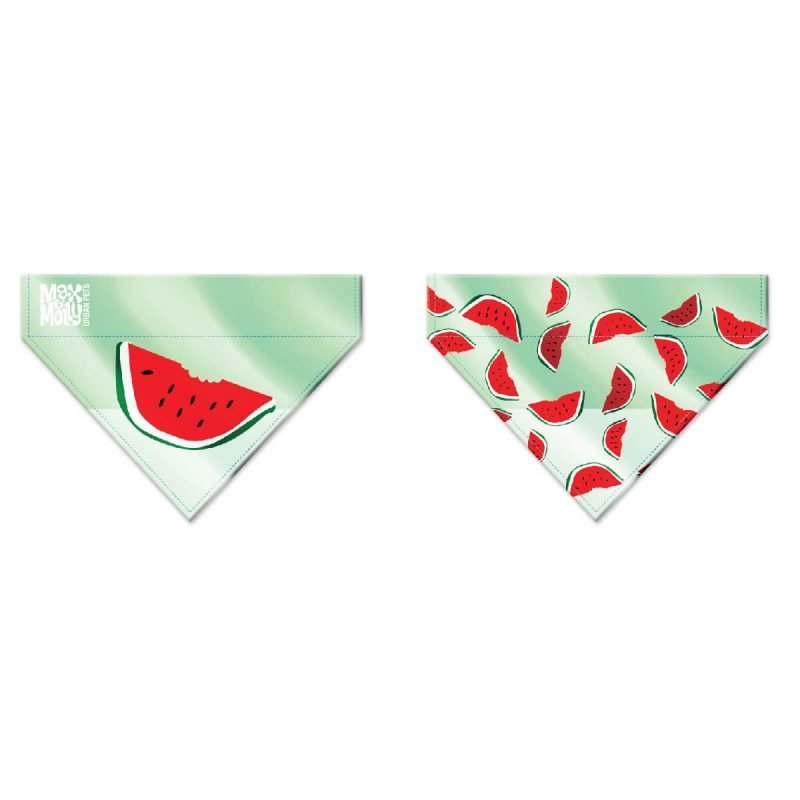max-molly-bandanas-watermelon-2