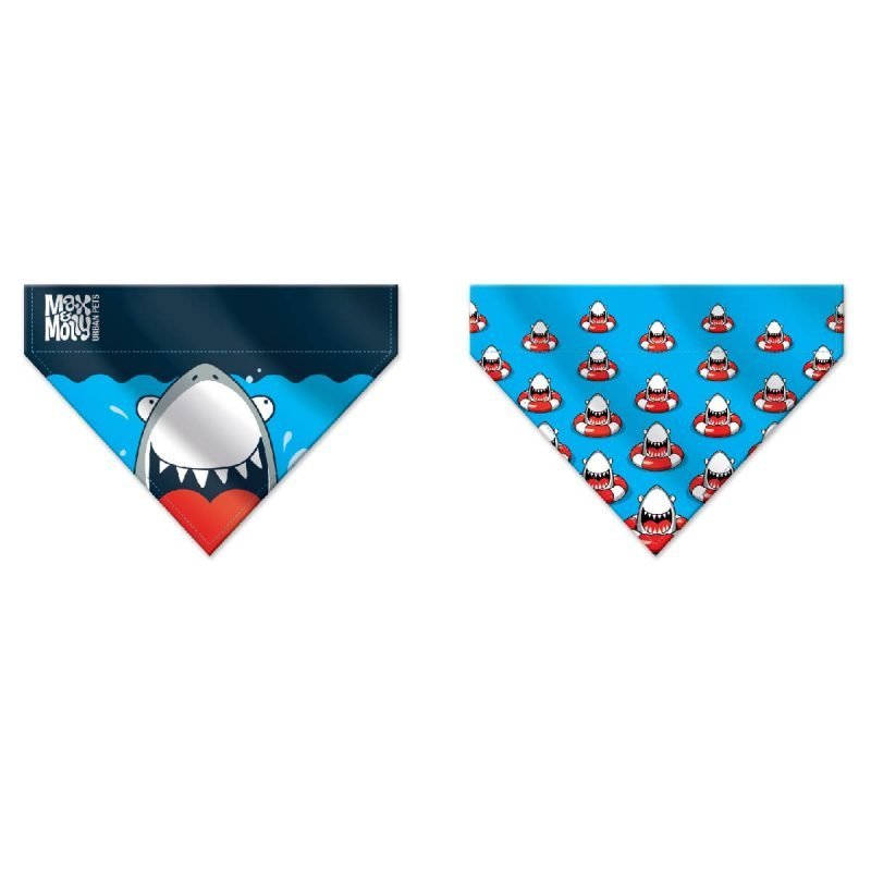 max-molly-frenzy-the-shark-2