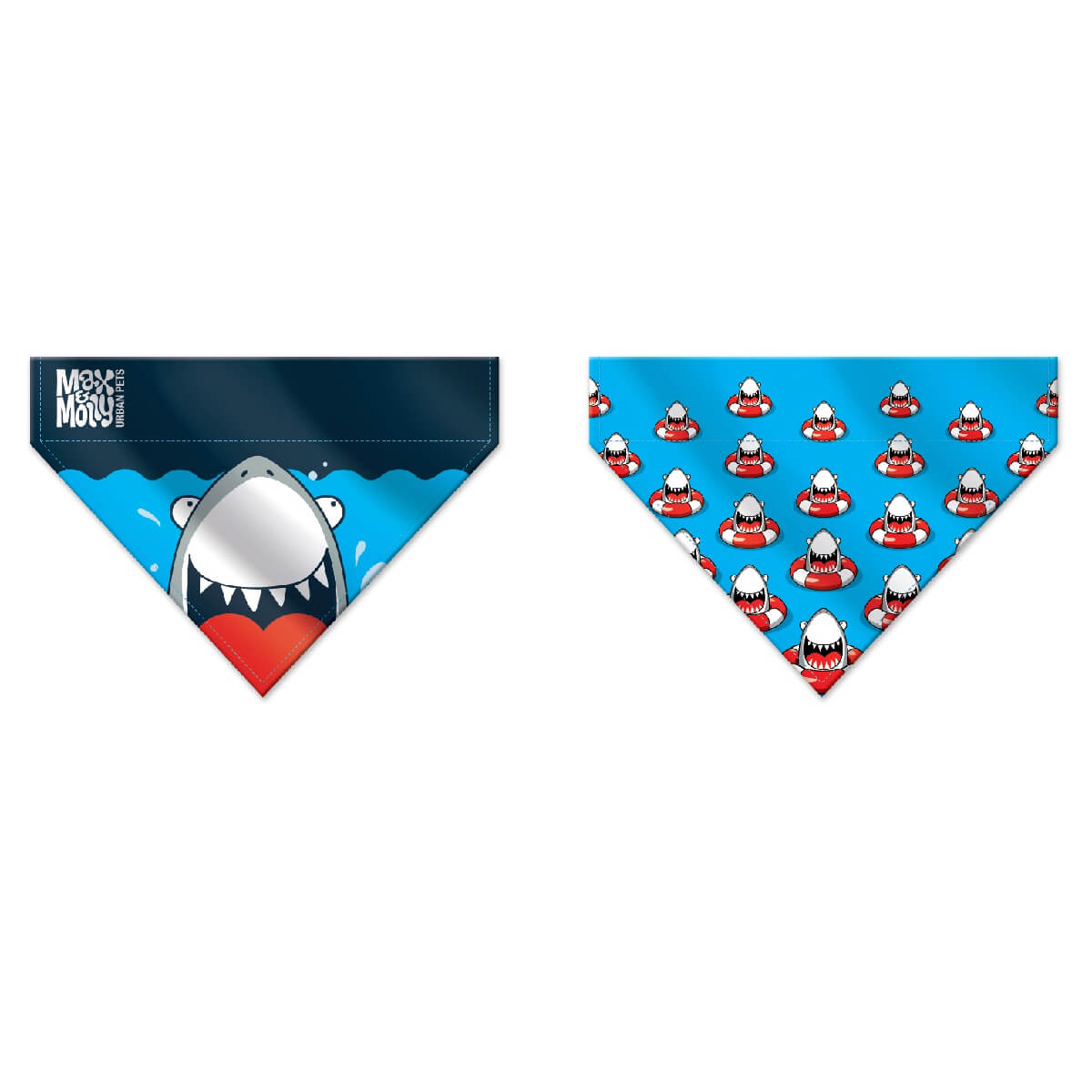max-molly-frenzy-the-shark-2