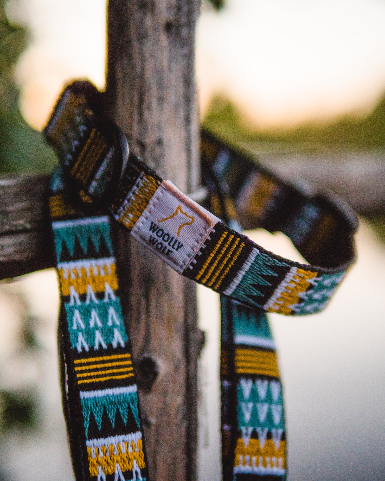 woolly-wolf-odigos-leash-woods