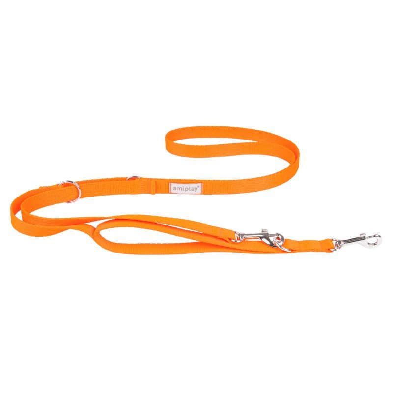 amiplay-leash-7-in-1-sampa-odhgos-peripatou-louri