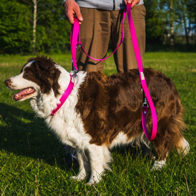 amiplay-leash-7-in-1-sampa-odhgos-peripatou-louri -lifestyle