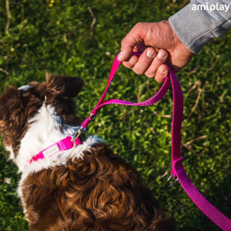 amiplay-leash-7-in-1-sampa-odhgos-peripatou-louri -lifestyle