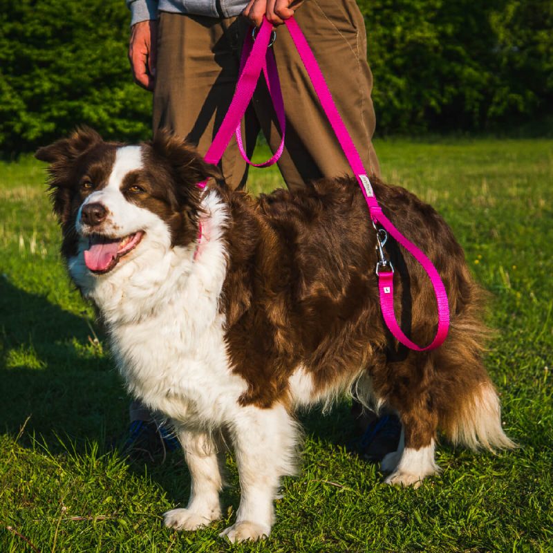 amiplay-leash-7-in-1-sampa-odhgos-peripatou-louri -lifestyle