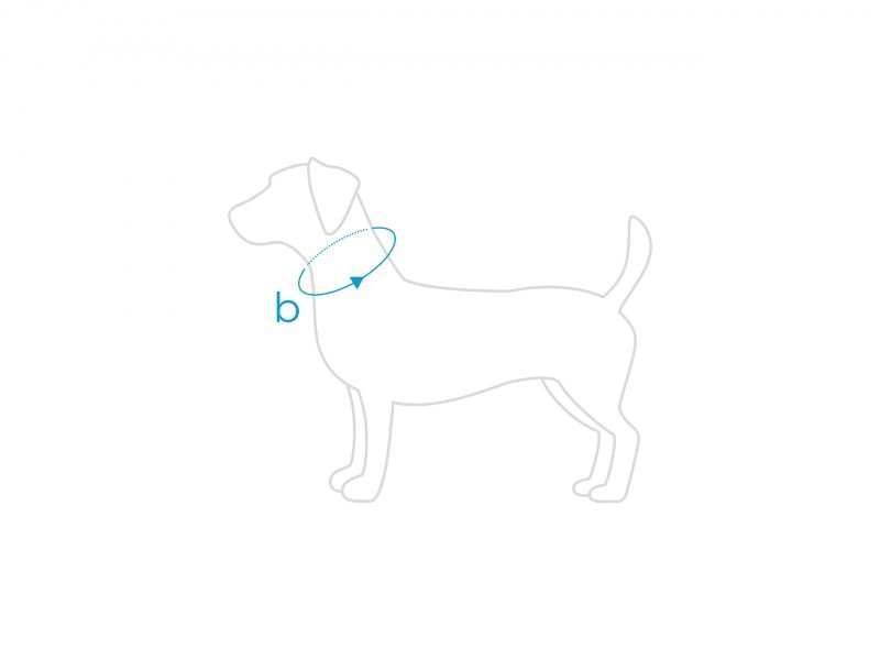 amiplay_Samba_Adjustable_collar_Dimensions_S_01