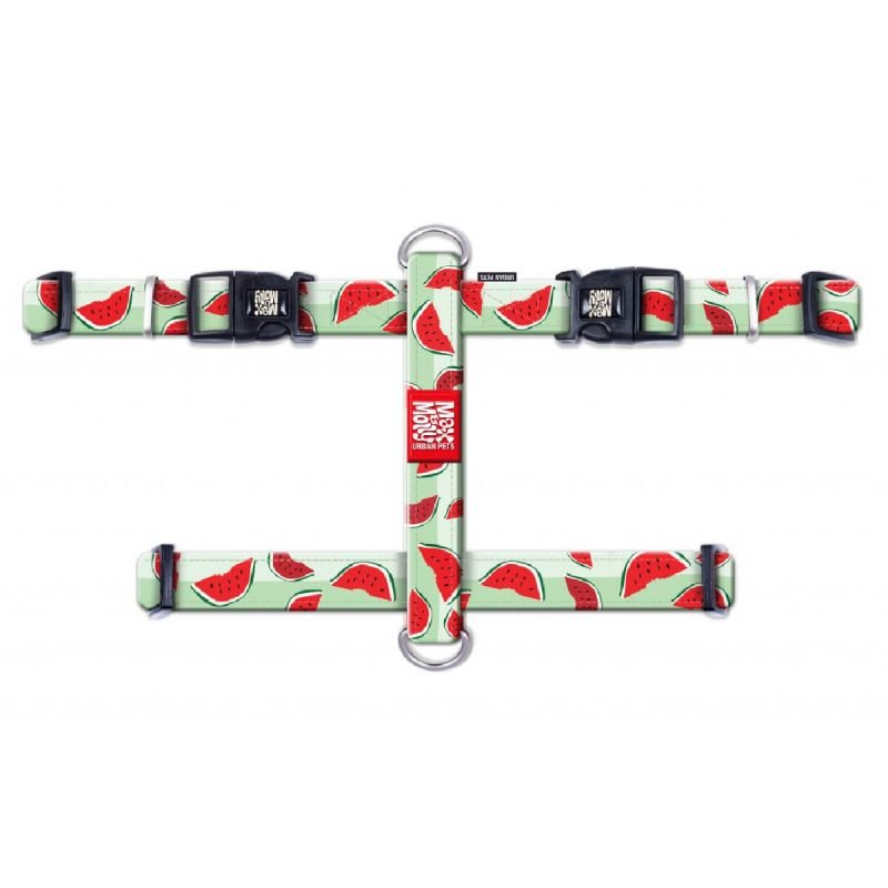 max-molly-h-harness-watermelon