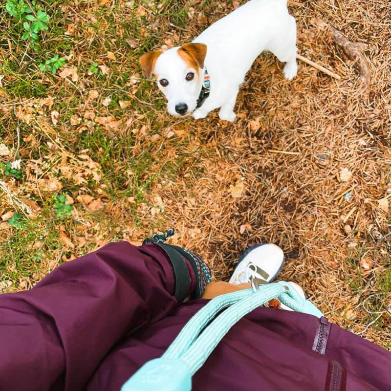 woolly-wolf-mint-green-robe-leash-odigos-peripatou-skulou
