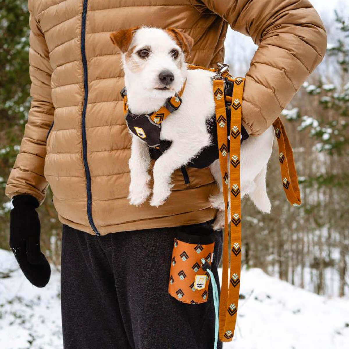 woolly-wolf-set-sea-to-summit-leash-harness-snackback-odigos-samaraki-louri-skulou-tsanta-gia-lixoudies