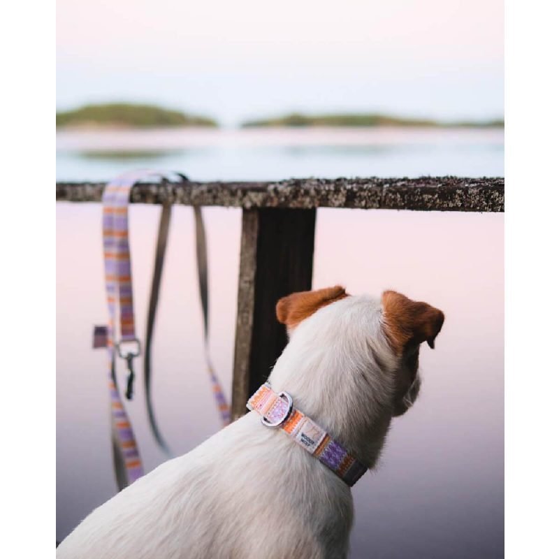 woolly-wolf-wild-leash-collar-perilaimio-kai-odigos-peripatou-gia-skulous