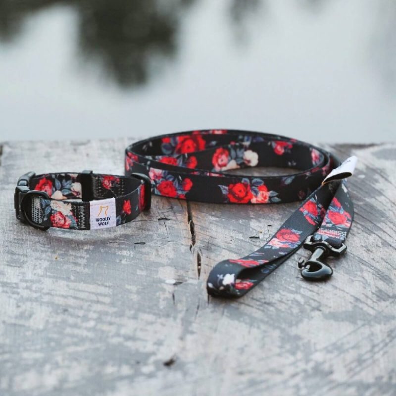 woolly-wolf-wild-rose-collar-leash-perilaimio-kai-odigos-skulou