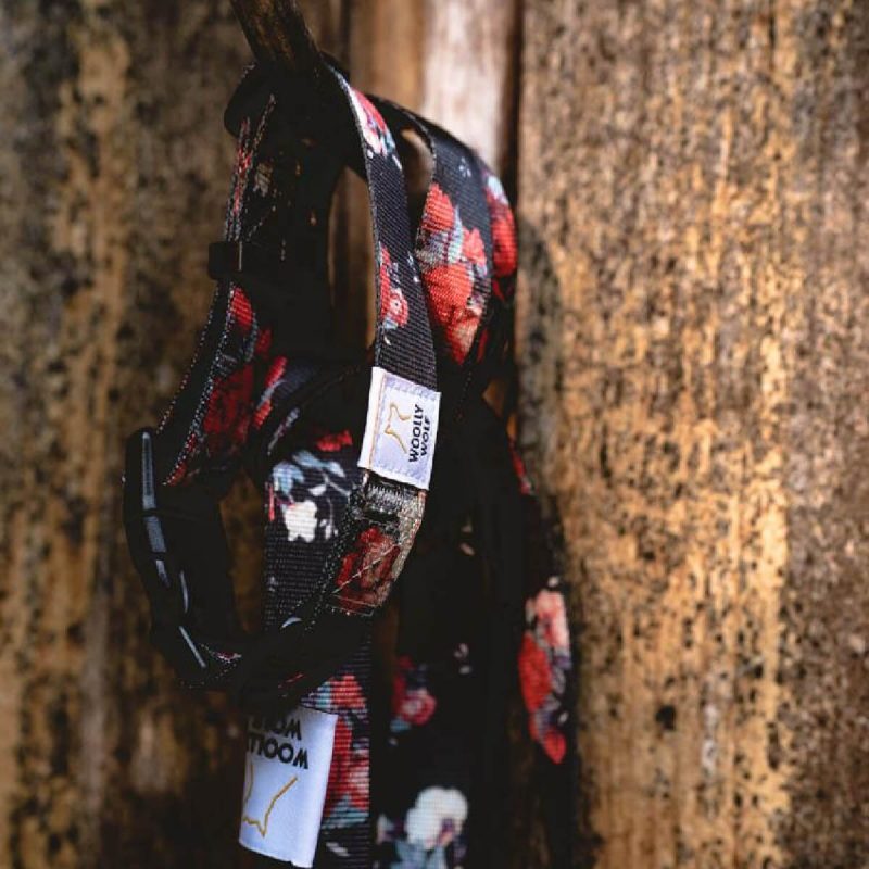 woolly-wolf-wild-rose-collar-perilaimio-skulou1
