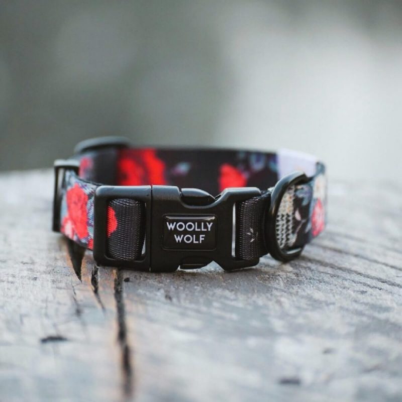woolly-wolf-wild-rose-collar-perilaimio-skulou2