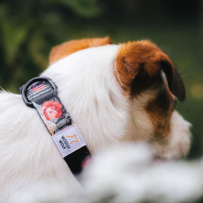 woolly-wolf-wild-rose-collar-perilaimio-skulou4