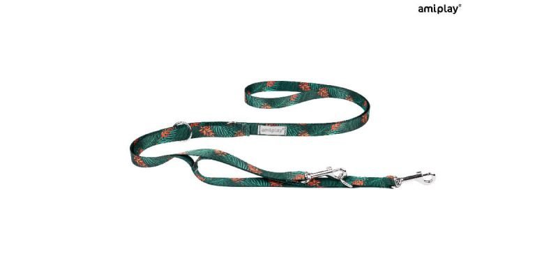 amiplay-be-happy-leash7in1-social-juggle (1)