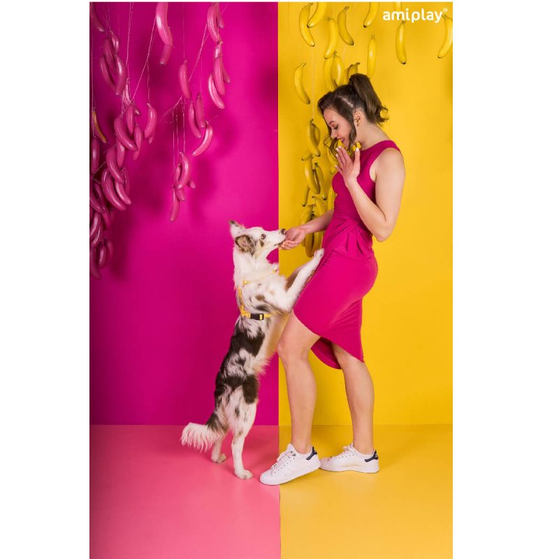 amiplay-be-happy-lifestyle-banana-b