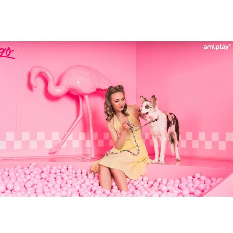 amiplay-be-happy–lifestyle-flamingo-a