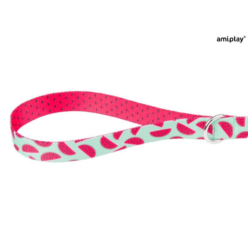 amiplay-behappy-watermelon-c (1)