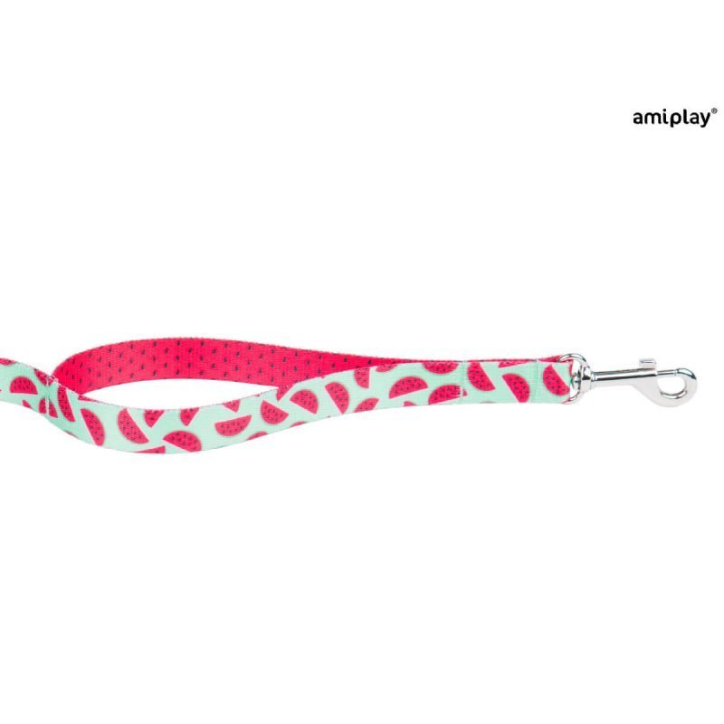 amiplay-behappy-watermelon-d (1)