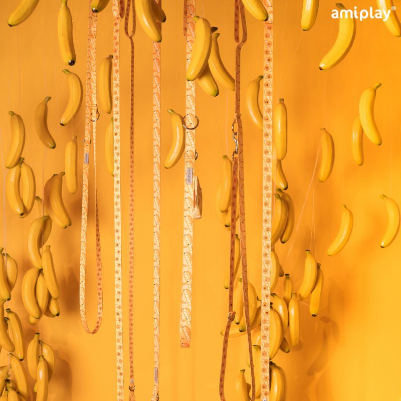 amiplay-lifestyle -banana
