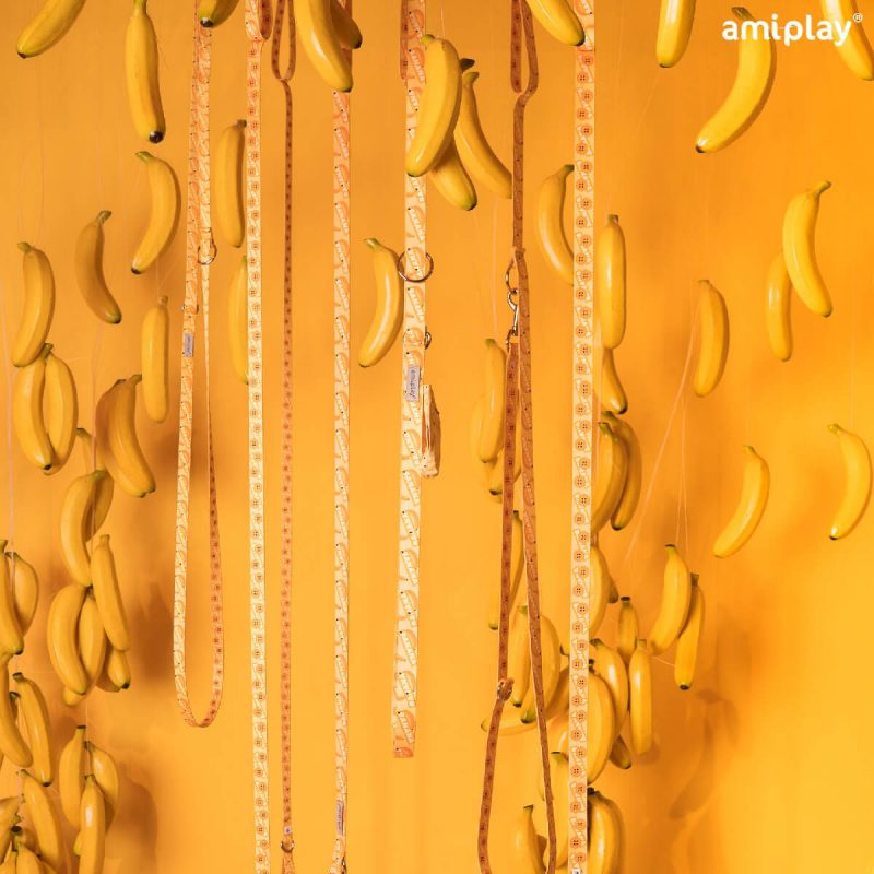 amiplay-lifestyle -banana (1)