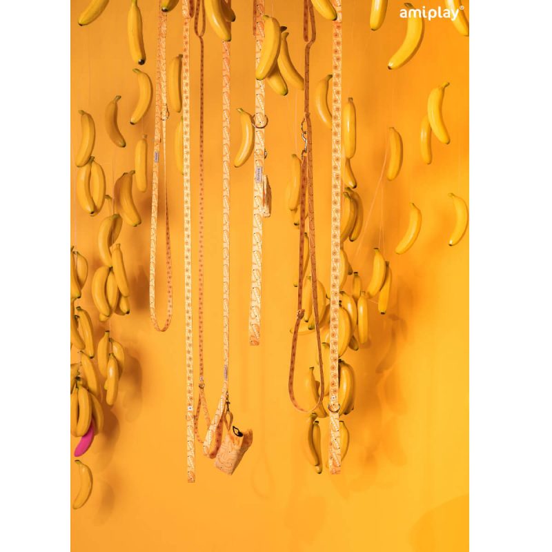 amiplay-lifestyle-banana-a (1)