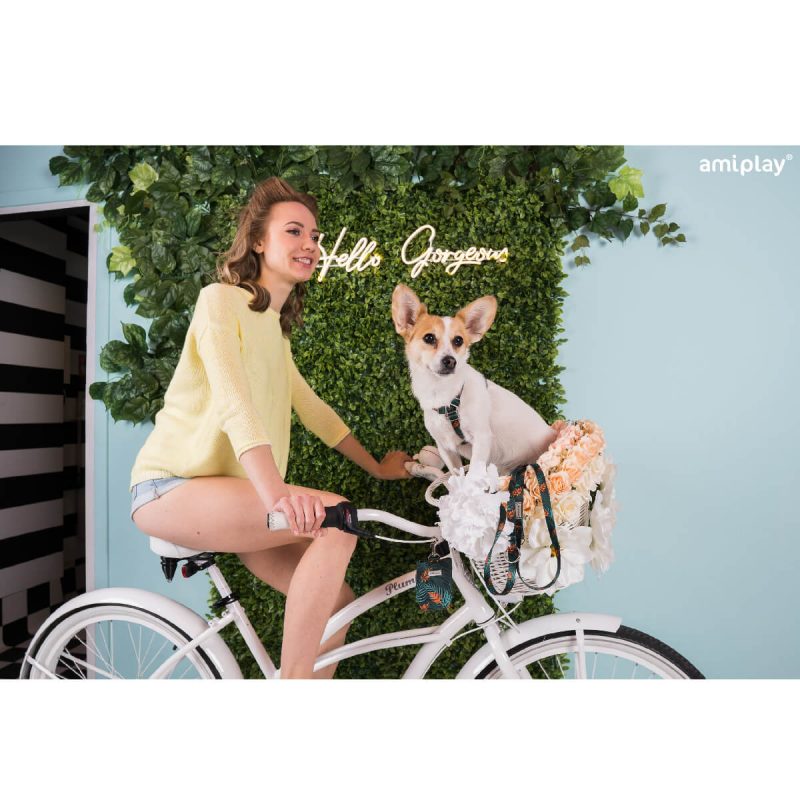 amiplay-lifestyle-jungle-b
