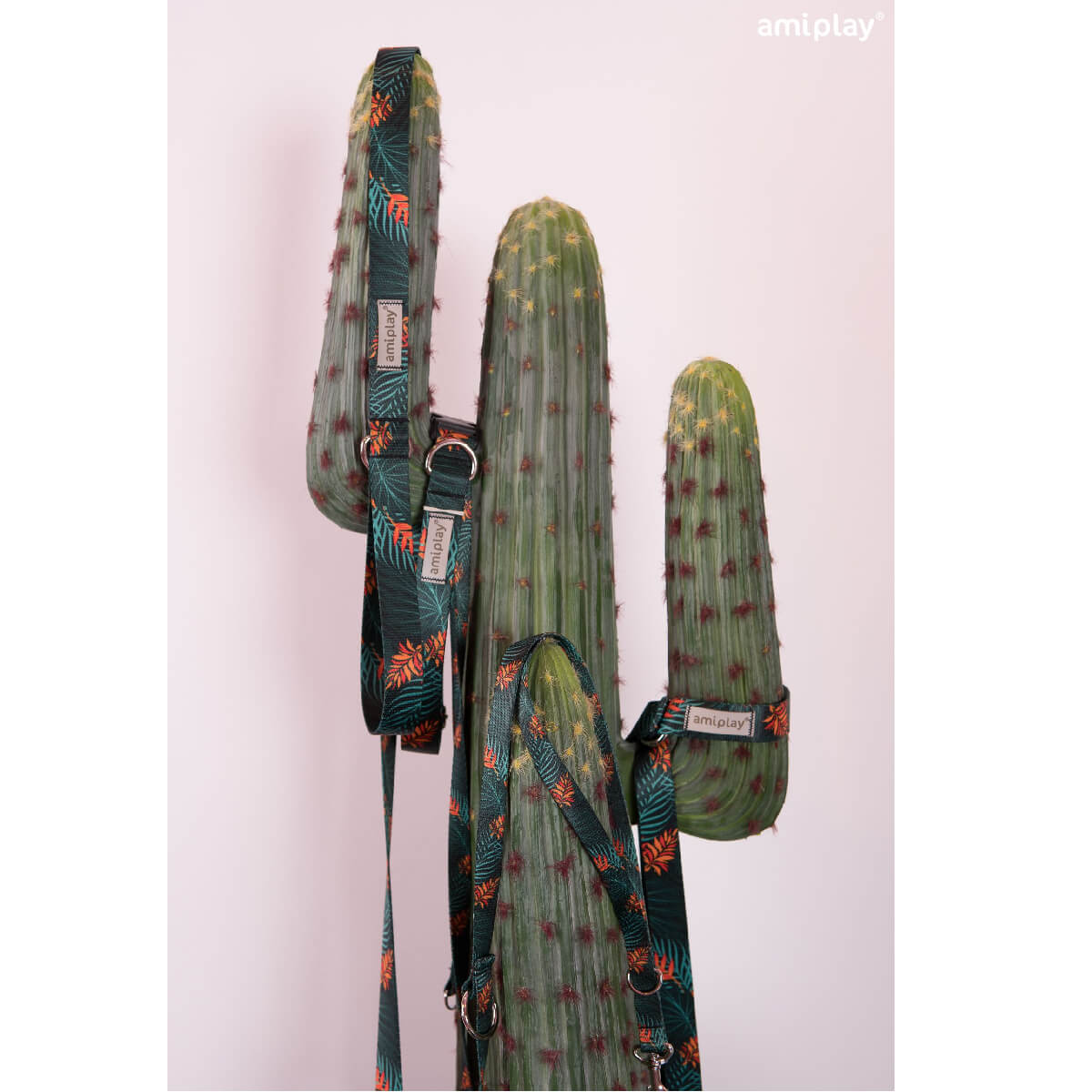 amiplay-lifestyle-jungle-f