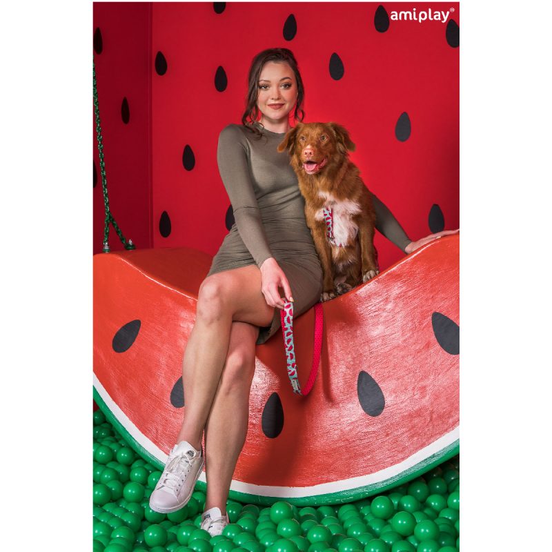 amiplay-lifestyle-watermelon-a