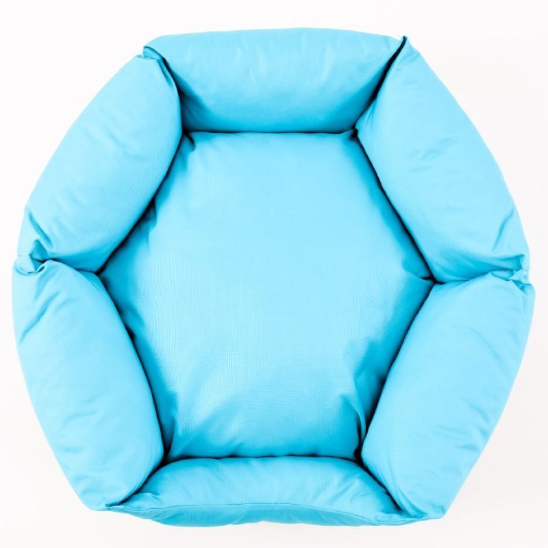 hexagon-turquoise2
