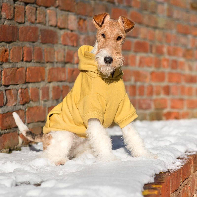amiplay-sweater-hoodie-pullover-texas-mplouza-fleece-koukoula-yellow