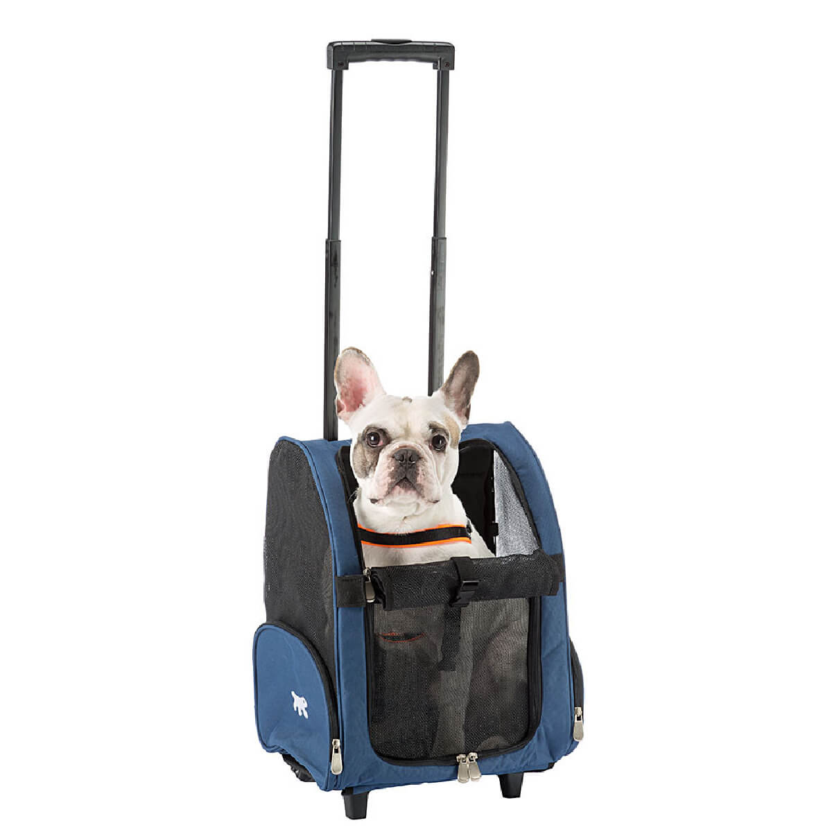 ferplast-trolley-tsanta-metaforas (1) Πρακτικό και εύχρηστο Τρόλεϊ Τσάντα Μεταφοράς από την Ferplast από Νάιλον. Διαθέσιμο σε μπλε και κόκκινο.Είναι κατασκευασμένο από ανθεκτικό νάιλον.