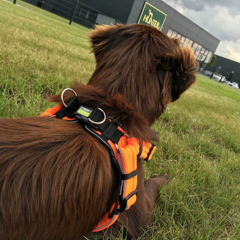hunter-samaraki-skylou-harness-portokali-orange-manoa-vario-quick-light-lifestyle-brandnamehunter