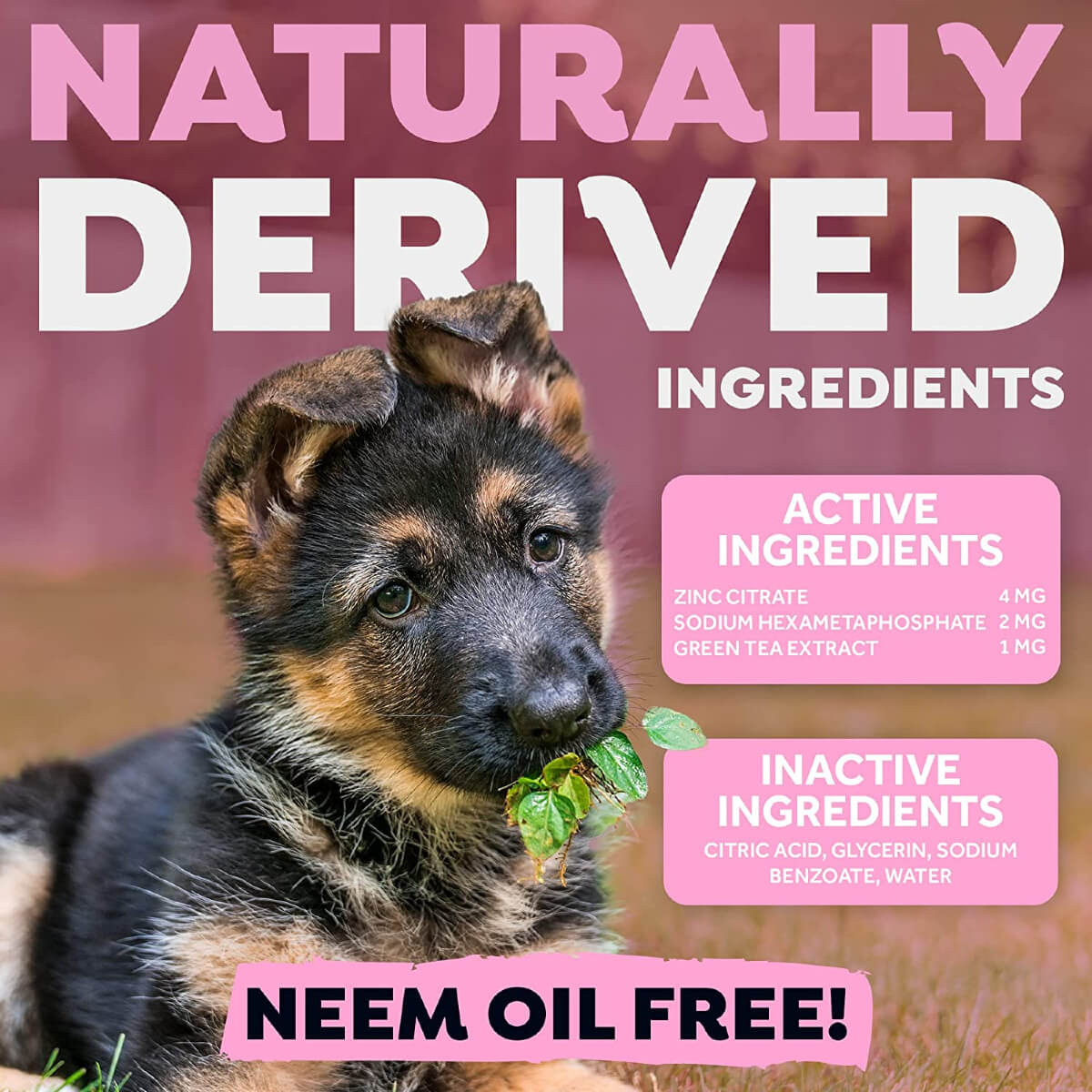 tropiclean-dental-fresh-breath-puppy-odontiki-prostasia-koutaviou-prosttheto-nerou-katapolemisi-plakas-petras-label-etiketa