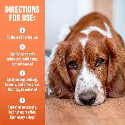 Το TropiClean,  Flea & Tick Spray For Dogs & Bedding σκοτώνει ψύλλους και τσιμπούρια εξ’επαφής. Φυσικό βασικό μείγμα που περιέχει μερικά από τα πιο ισχυρά συστατικά καταπολέμησης των παρασίτων, όπως το λεμόνι για μακροχρόνια αποτελέσματα. Ισχυρό και αποτελεσματικό, ασφαλές για χρήση σε σκύλους και κουτάβια 12 εβδομάδων και άνω. Ετικέτα με οδηγίες χρήσης.