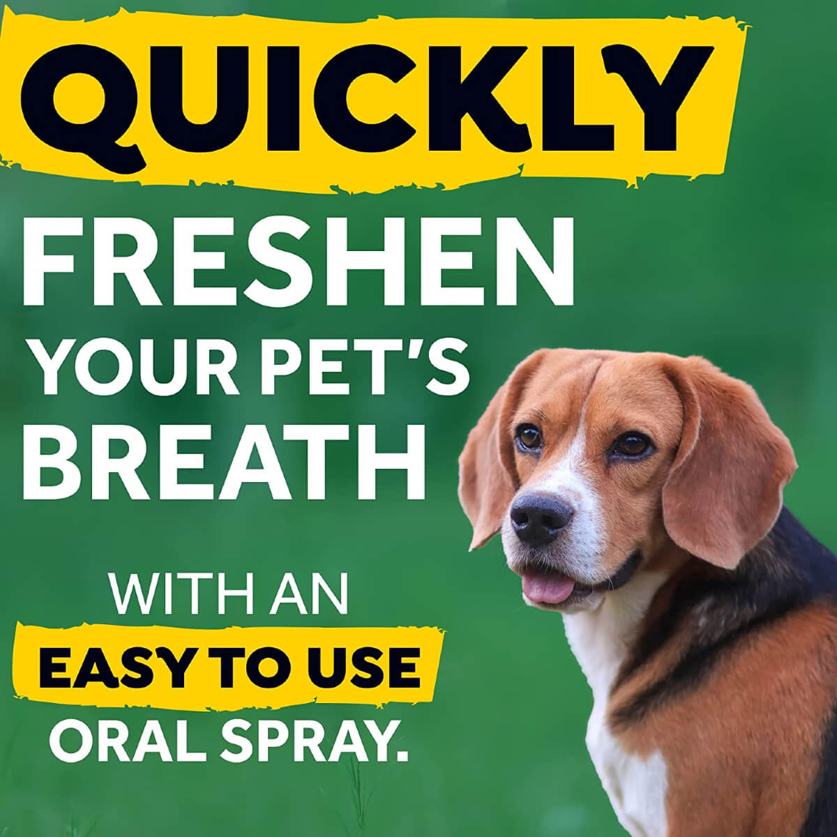 tropiclean-oral-care-fresh-breath-grigori-efkoli-xrisi-label-etiketa-skylos Tropiclean-σειρά Fresh breath.Λειτουργούν σαν άμυνα κατά της πλάκας και της πέτρας και βοηθούν στην δροσερή αναπνοή. Τα φυσικά του συστατικά, κυρίως το πράσινο τσάι εξολοθρεύουν την κακοσμία από τα βακτήρια που αναδύονται από το στομάχι. Βοηθούν στην συντήρηση της καλής υγιεινής του στόματος, αφού δρουν σαν προστατευτική ασπίδα